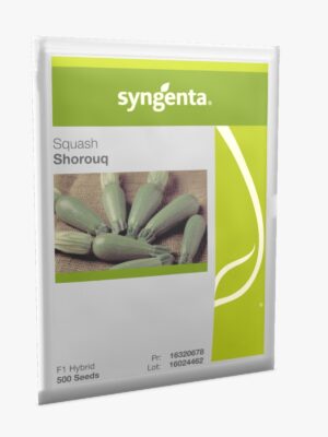 Squash Shorouk