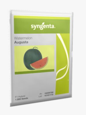 Augusta Watermelon