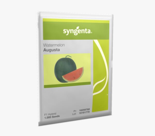 Augusta Watermelon