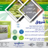 كوسا شروق